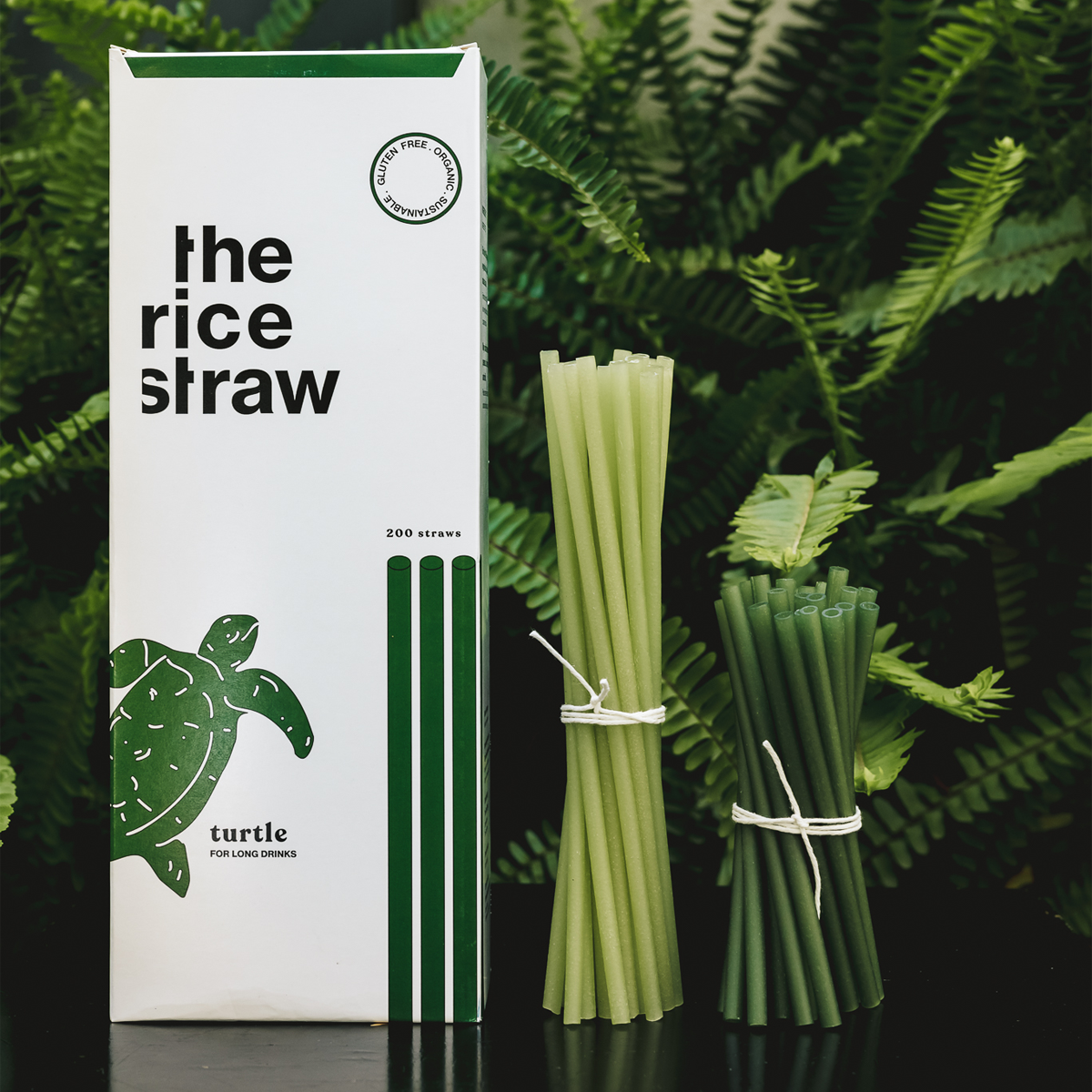 Turtle – thericestraw